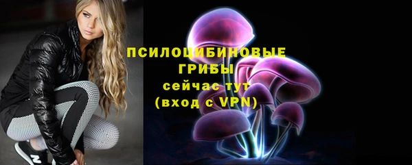 спиды Аркадак