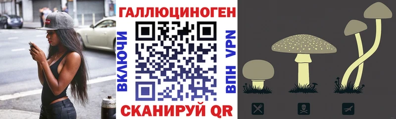 Галлюциногенные грибы прущие грибы Новоузенск