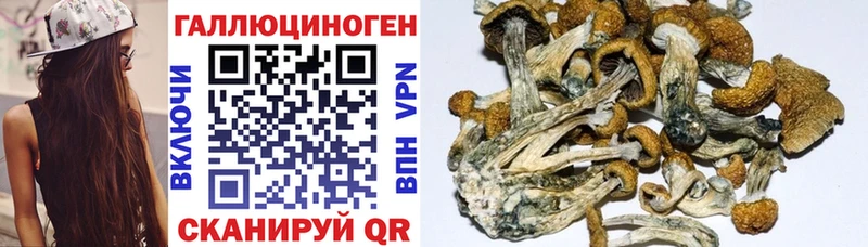 Псилоцибиновые грибы Magic Shrooms  гидра онион  Новоузенск 